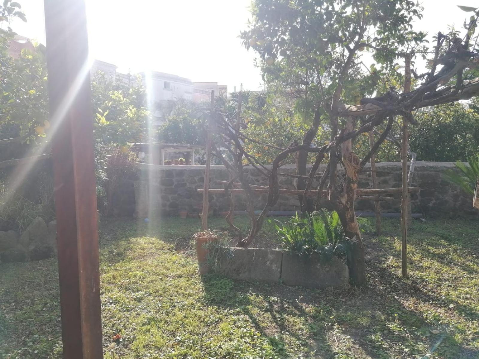 Dimora Coloniale B&B Forio  Ngoại thất bức ảnh
